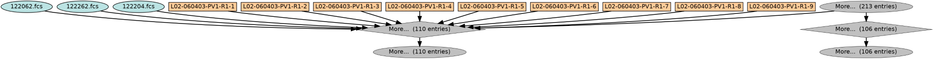 Run Graph